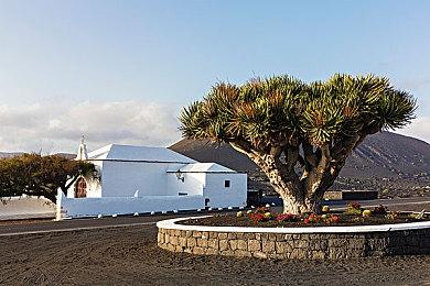 《枪火重生》付费DLC“灵界来客”8月29日上线